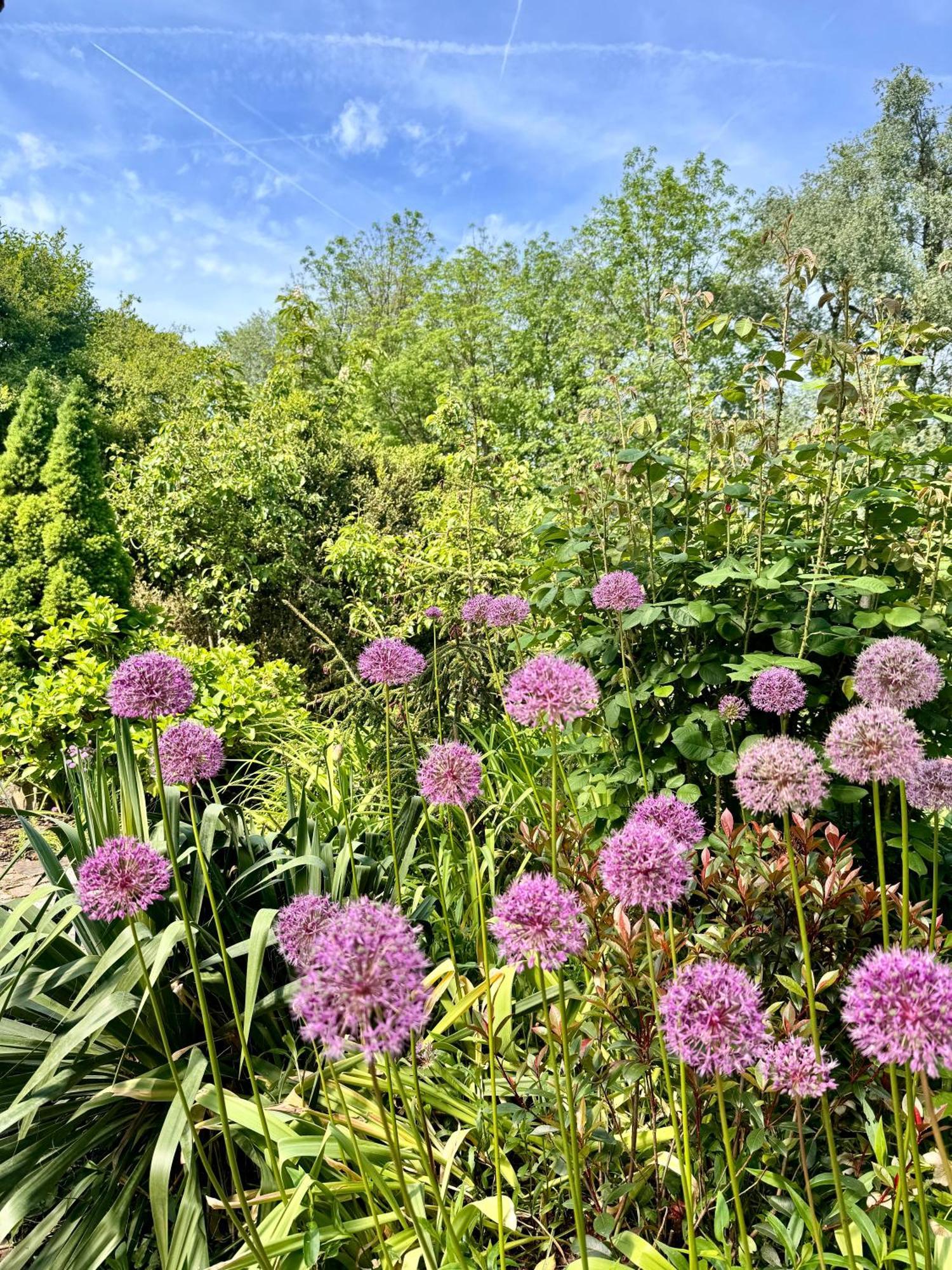 Am Flussgarten *